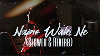 Nainowale Ne Slow amp Reverb  Neeti Mohan Ray Billion nainowalene slowandreverb [upl. by Mehalek]