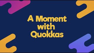 A Moment with Quokkas [upl. by Whitten]