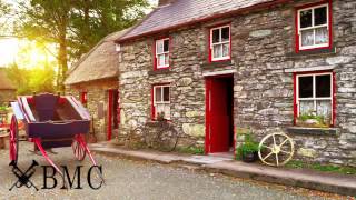 Irish music traditional instrumental compilation [upl. by Ehrenberg]