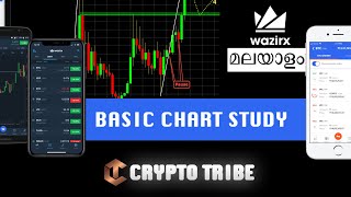 Basic Chart Study  cryptocurrency  Malayalam  cryptotribe [upl. by Llekram]