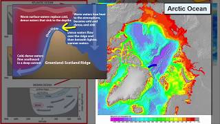 Thermohaline Currents [upl. by Eiliah]