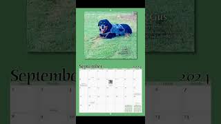 2024 Rott of the Month calendar rottweiler dog [upl. by Metah]