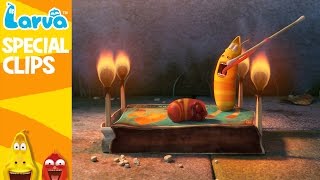 Official LARVA Weekly Best  Funny Animation Compilation  Week 4 NOV 2016 [upl. by Girovard]