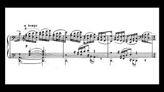 Feinberg 2nd Piano Sonata op2 [upl. by Reifnnej]