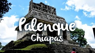 Palenque Chiapas que hacer en la zona arqueológica [upl. by Llehsem]