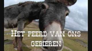 eir peerd  de fleksies [upl. by Naihs]