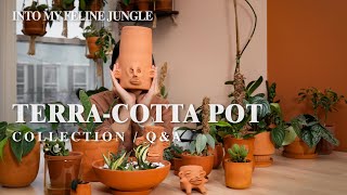 MustHave Terracotta Planters l My Favorite Terracotta Pots amp Planter Care Tips [upl. by Gnud]