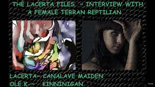 The Lacerta Files  Interview With a Female Reptilian [upl. by Tabbie]