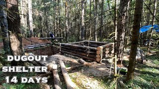 14 days Im building a bearresistant shelter alone [upl. by Sill]