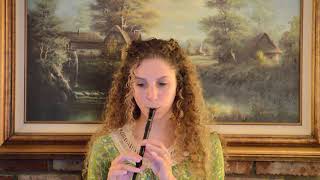 Susato Tin Whistle Demo  Whelans Jig [upl. by Nosreme]