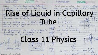 Rise of Liquid in Capillary Tube  Chapter 9  Mechanical Properties of Fluids  Class 11 Physics [upl. by Kreis]