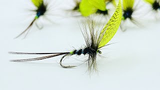 Tying a Olive Roll Over May Fly with Scott Jackson 2024 [upl. by Aliahkim]