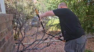 Review for Fiskars Loppers for Tree Trimming [upl. by Duomham]