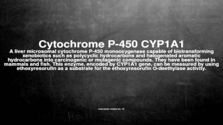 Medical vocabulary What does Cytochrome P450 CYP1A1 mean [upl. by Warthman]