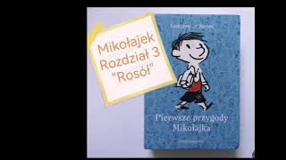 quotMikołajekquot rozdział 3 quotRosółquot  audiobook [upl. by Norven234]