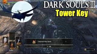 Dark Souls 3 Tower Key  How to find Snuggly The Crow amp A Fire Keeper Soul [upl. by Leahcar]