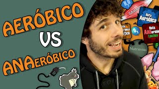 Ejercicio AERÓBICO y ANAERÓBICO ¿cuál es la diferencia [upl. by Sitof803]