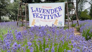 LAVENDER FESTIVAL 2022 [upl. by Vashti]