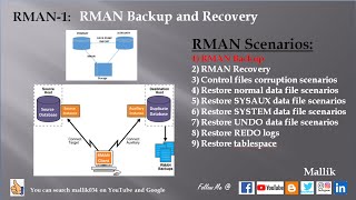 RMAN 1 Backup and Recovery  RMAN database amp Archivelog Backup  RMAN Level0 amp Level1 backup [upl. by Relyc]