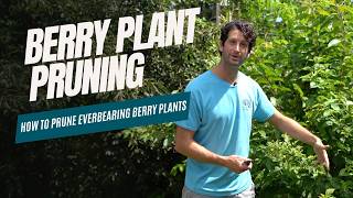 Prune Everbearing Berry Plants [upl. by Allista]