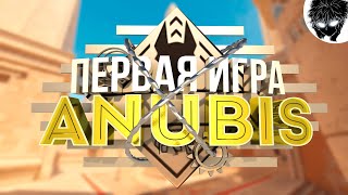 5 Первая игра на Anubis  Counter Strike 2 [upl. by Noevad]