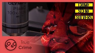 A maniac inspired by a horror movie  Crime Scene Solvers 308  True Crime [upl. by Halima]