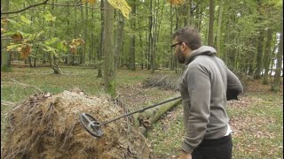 Minohledačské hlášení Brutální nálezy ve vývratu stromu detektorem kovu [upl. by Remled]