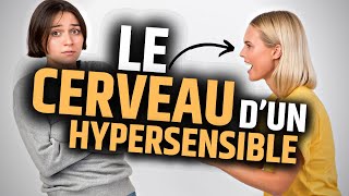 Comment Fonctionne le Cerveau d’un Hypersensible [upl. by Brunhilde524]