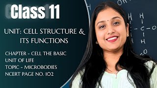 CLASS 11  CH8 CELL  MICROBODIES  NCERT PG 102  BY DIKSHA MAAM  NEET [upl. by Orban]