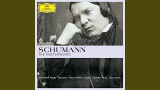 Schumann Dichterliebe Op 48 I Im wunderschönen Monat Mai [upl. by Cleopatra708]