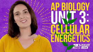 AP Biology Unit 3 Cellular Energetics Summary [upl. by Aramoy]