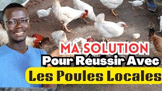 Voici la Solution pour Réussir lélevage des Poules Locales [upl. by Nwahsud708]