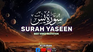 Surah Yaseen  Beautiful Recitation  A1 QURAN [upl. by Janelle]