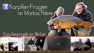 Karpfenangeln im Winter Die besten Tipps von Markus Pelzer [upl. by Kirshbaum]