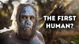 Evolution of Humans Documentary [upl. by Atalante145]