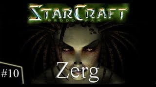 StarCraft Brood War Zerg Mission 10  Omega [upl. by Solotsopa]