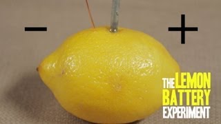 How to Make a Lemon Battery [upl. by Nylhtiak]