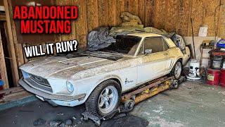 First Wash in 18 Years ABANDONED Ford Mustang  Will It Run [upl. by Yrovi]