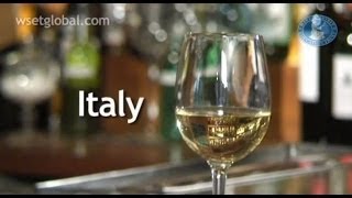 WSET 3 Minute Wine School  Italy presented by Tim Atkin MW [upl. by Guillermo]