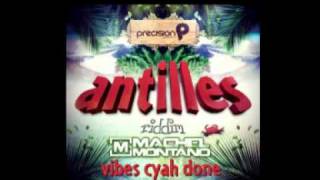 Machel Montano  Vibes Cyah Done Antilles Riddim 2012 [upl. by Meekah]