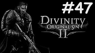 Divinity Original Sin 2 прохождение  эпик 47 [upl. by Nolad355]