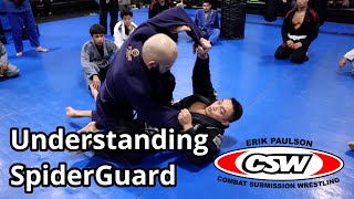 Understanding Spider Guard [upl. by Liryc]