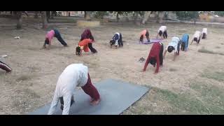 World Zoonoses Dayviralvideo youtube yoga yogs yogaholic yogalife children yoga class [upl. by Neelya]