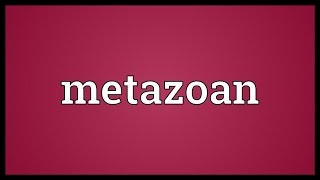 Metazoan Meaning [upl. by Pren]