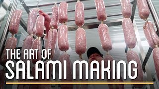 Salami Making  How to Make Everything Preservatives [upl. by Philipines]