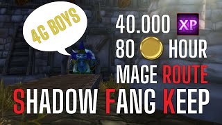 SFK Boost 80 mobs 11 min 40k xp hr 80g hr  Mage Boost Shadow Fang Keep Classic SoD [upl. by Sarnoff]