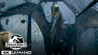 The Pteranodon Aviary Attack in 4K HDR  Jurassic Park III [upl. by Melleta]