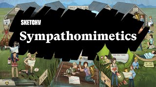 Sympathomimetics Exploring Functions and Effects Part 1  Sketchy Medical  USMLE Step 1 [upl. by Eran]