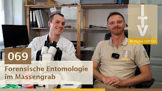 Archäologie erklärt 069 Forensische Entomologie im Massengrab [upl. by Kamila]