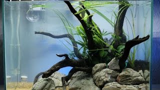 Nano Iwagumi Aquascape quotBluesky and Redsandquot ADA Mini M  Step by Step [upl. by Guod]